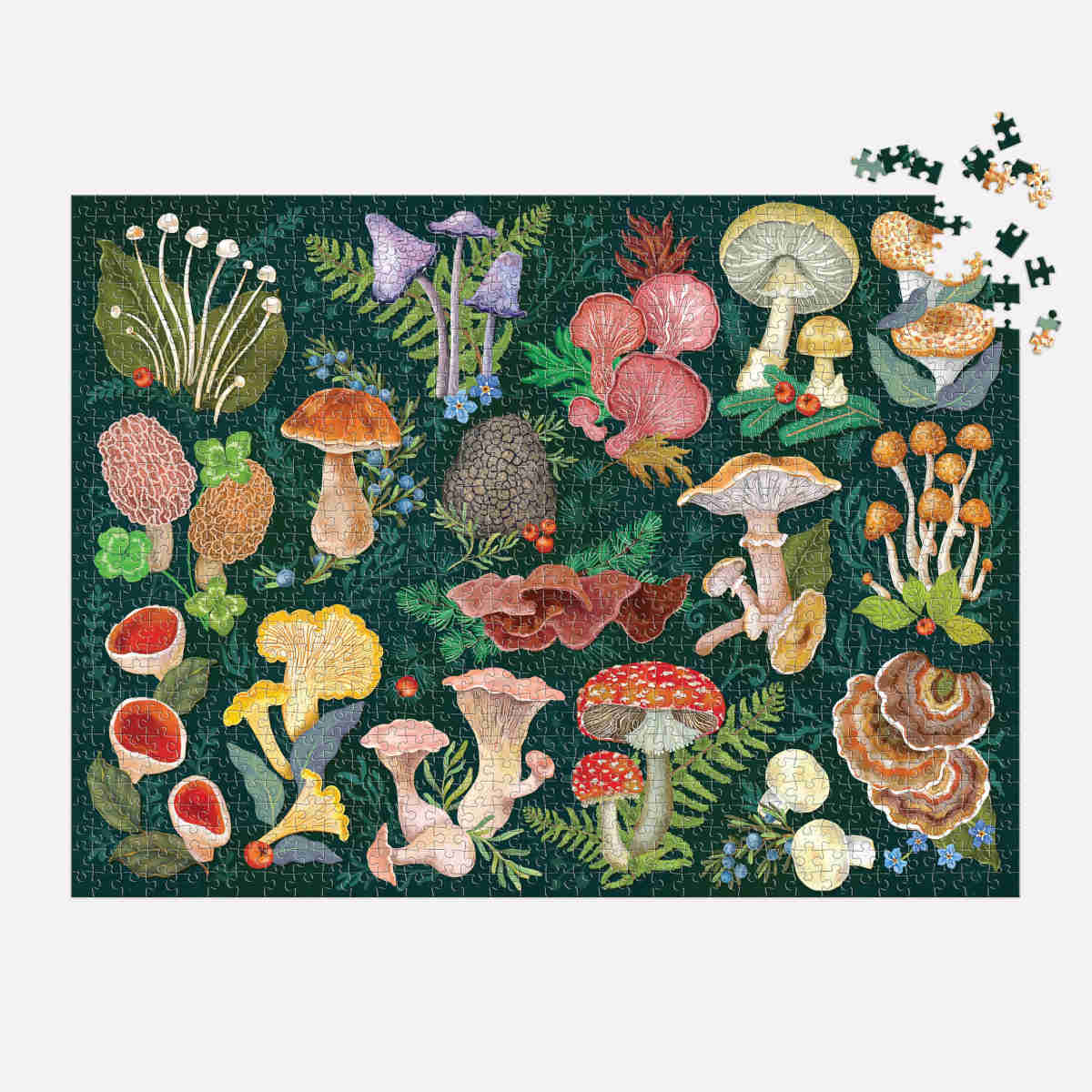 Galison World of Mushrooms Puzzle 1000 Piece | Minimax