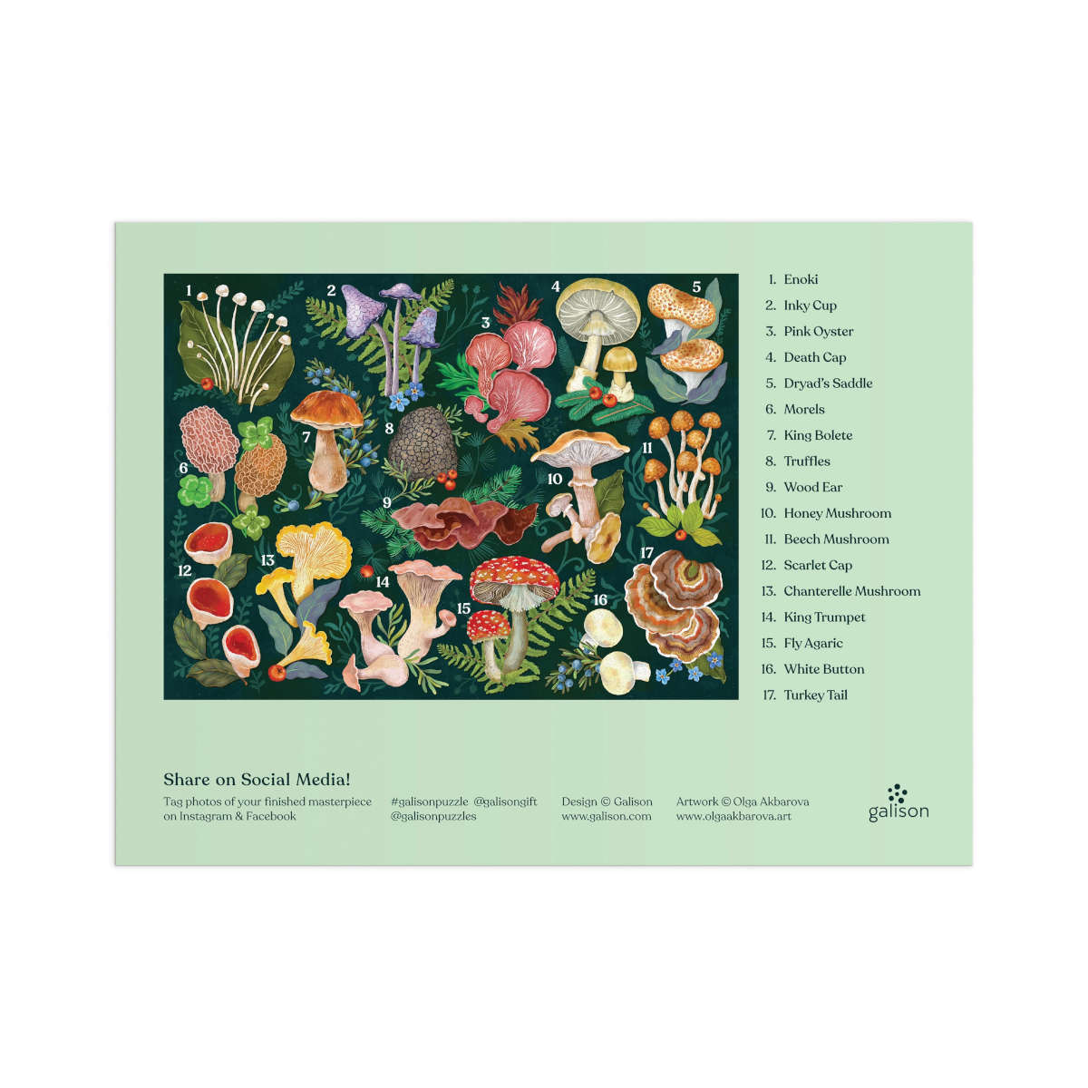 Galison World of Mushrooms Puzzle 1000 Piece | Minimax