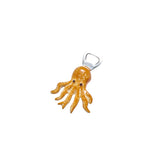 Casero Ollie Bottle Opener