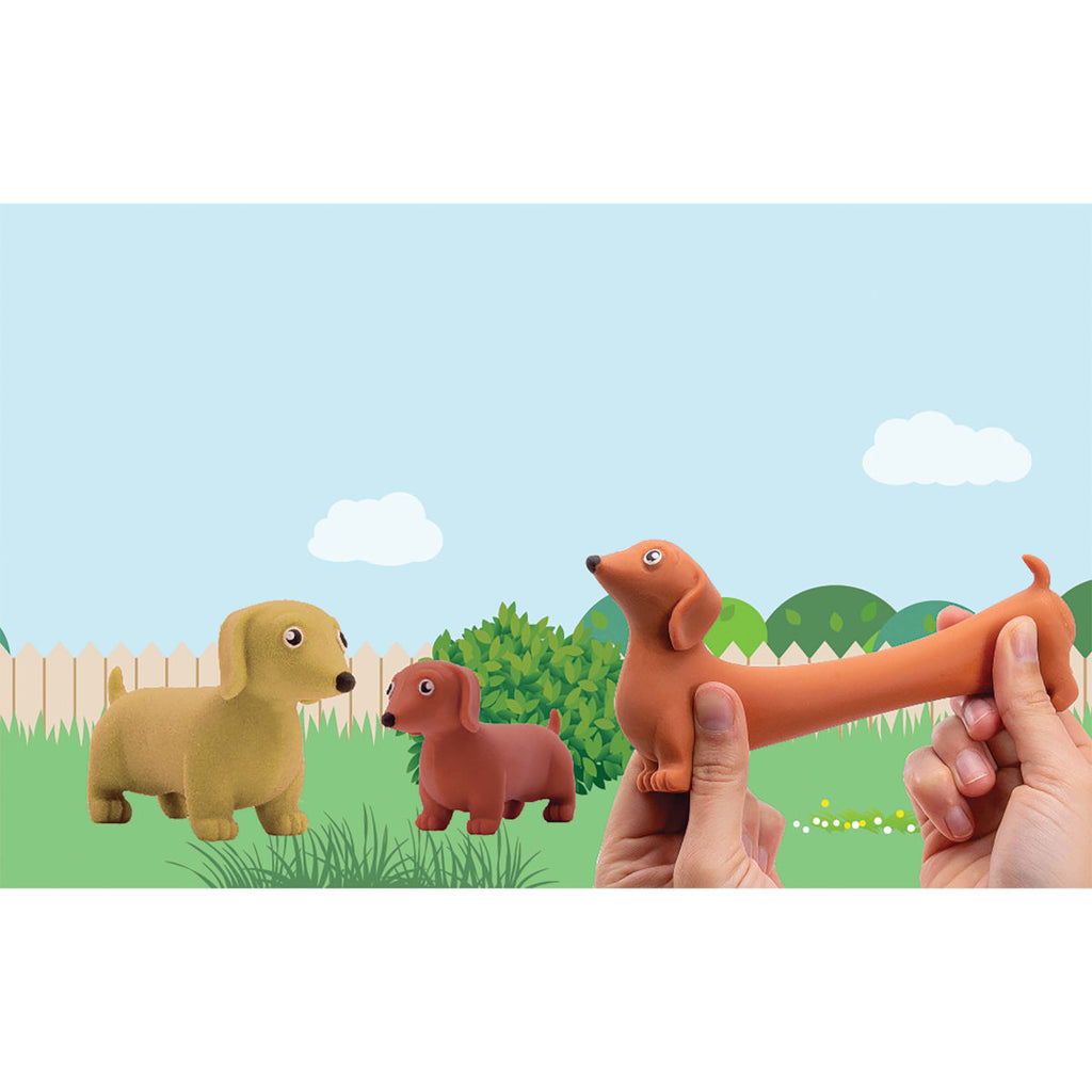 IS Gift Stretchy Sausage Dog Assorted | Minimax
