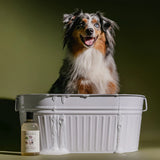 Koala Eco Marjoram & Rosalina Dog Wash 500ml | Minimax