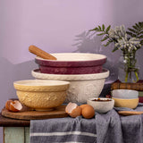 Mason Cash In the Meadow Daisy Mixing Bowl Purple 26cm | Minimax