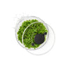 OXO Good Grips Salad Spinner | Minimax