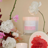 Palm Beach Collection Pomelo & Dewberry Candle 420g | Minimax