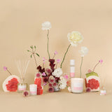 Palm Beach Collection Pomelo & Dewberry Diffuser 250ml | Minimax