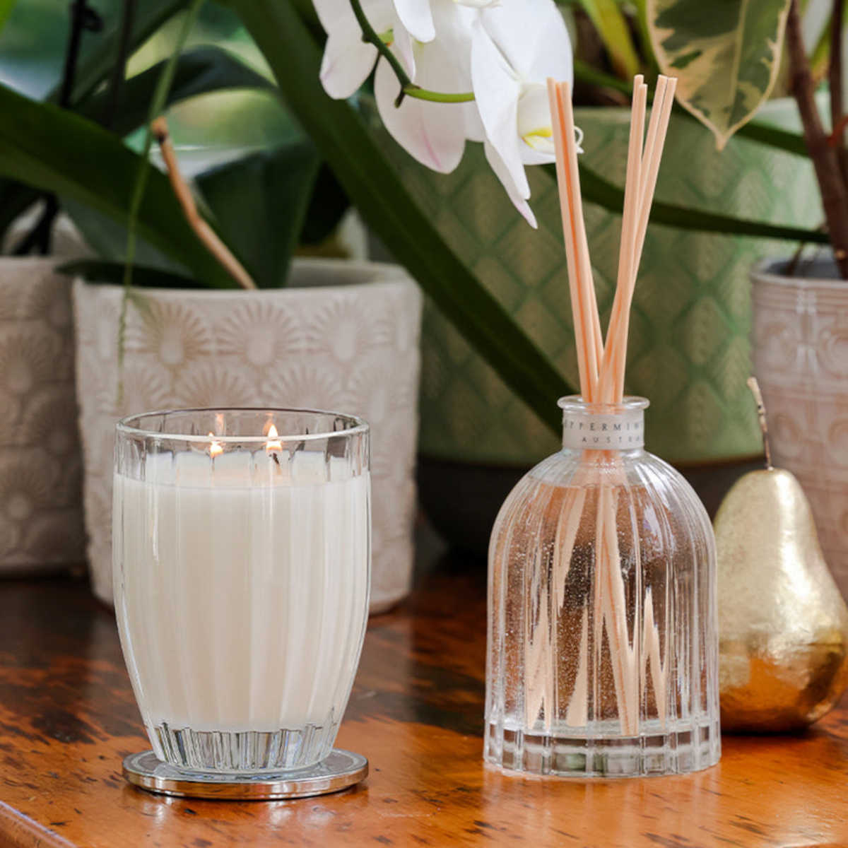 Peppermint Grove Australia Gardenia Large Candle 370g | Minimax