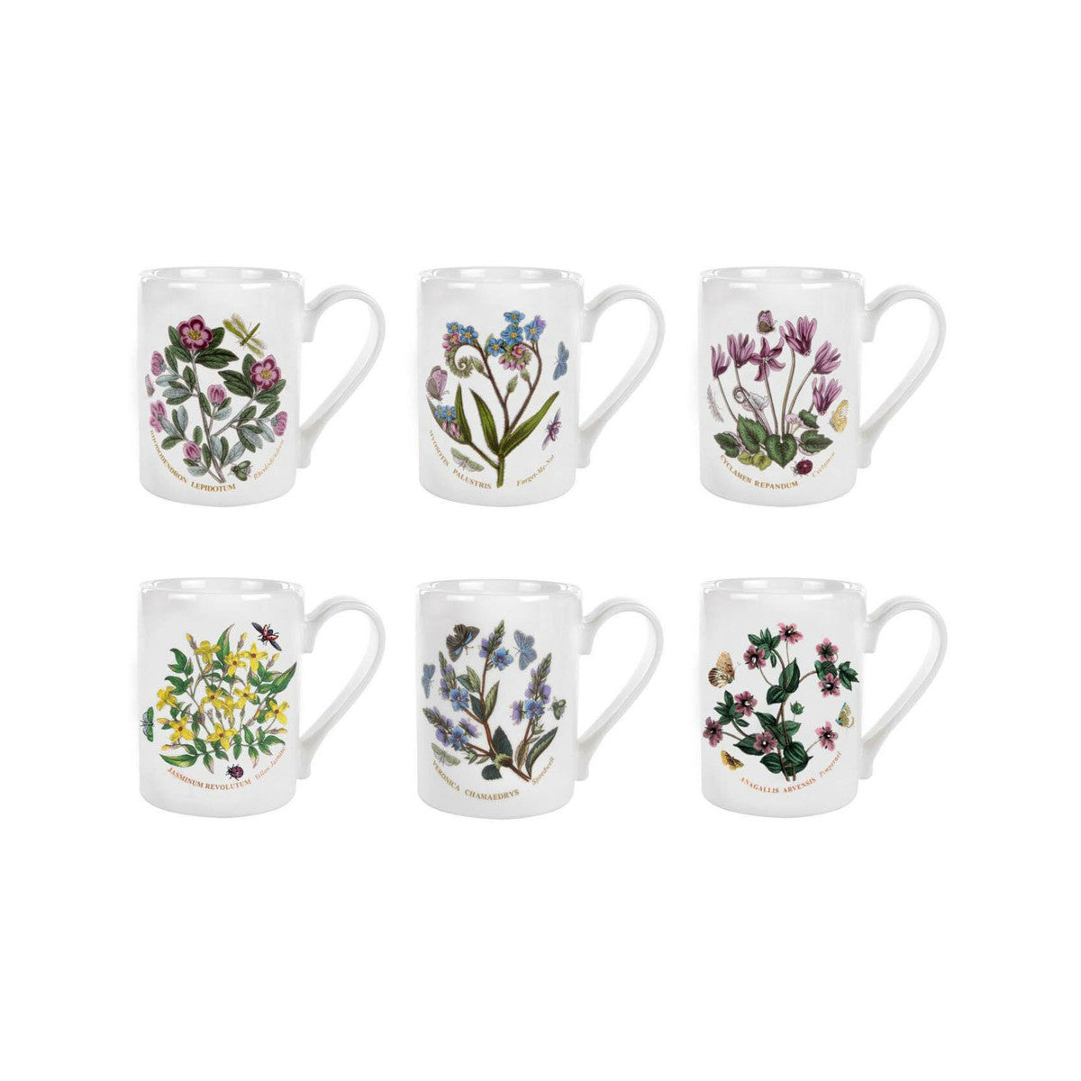 Portmeirion Botanic Garden 280ml coffee mugs set with assorted floral designs and white handles