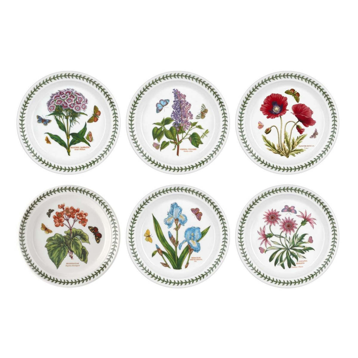 Portmeirion Botanic Garden Entrée Plate 20cm set featuring assorted floral patterns with butterflies and green leaf border, made from fine earthenware