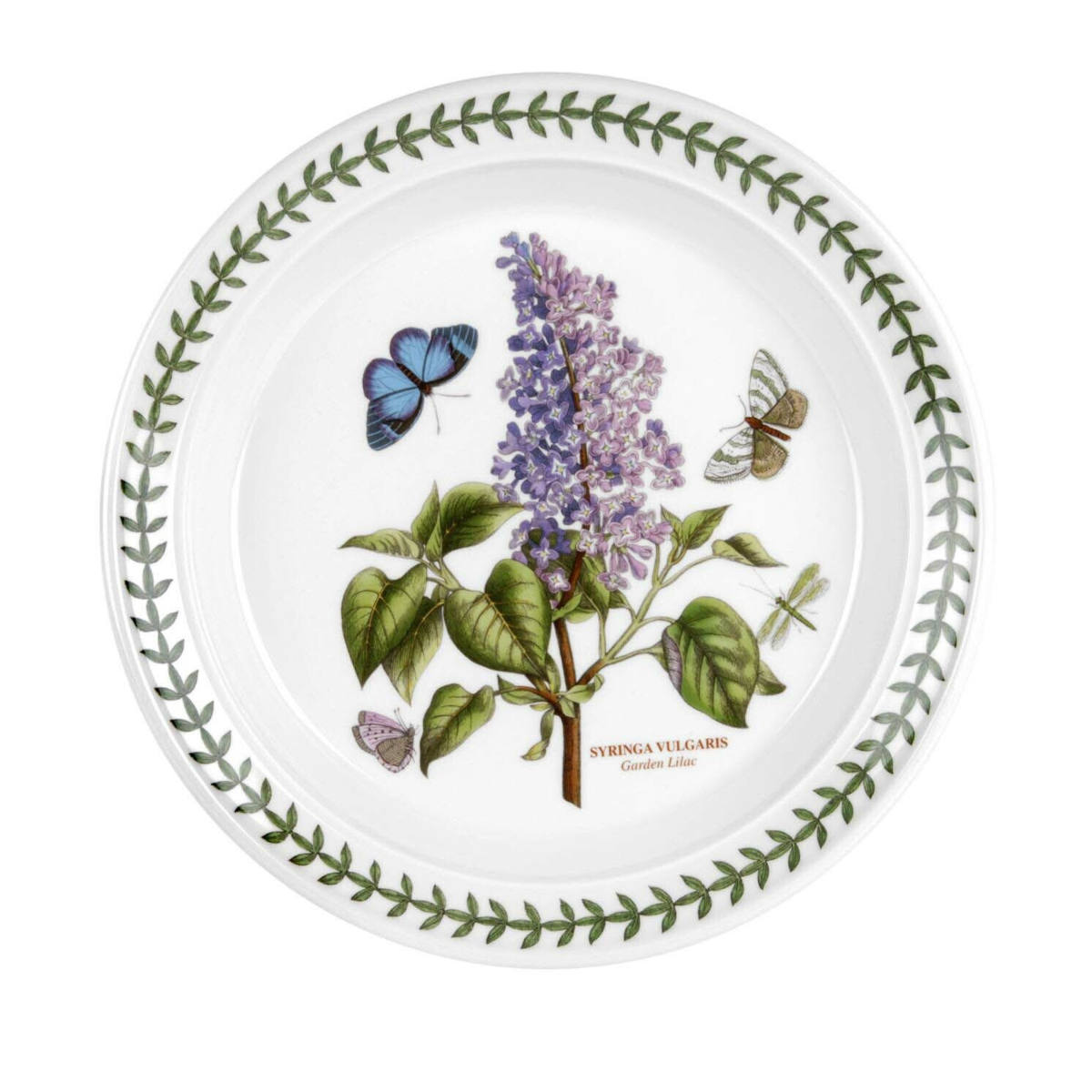 Portmeirion Botanic Garden Entrée Plate 20cm set featuring assorted floral patterns with butterflies and green leaf border, made from fine earthenware
