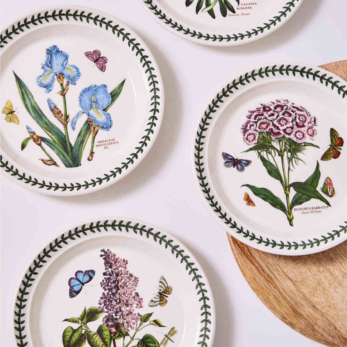 Portmeirion Botanic Garden Entrée Plate 20cm set featuring assorted floral patterns with butterflies and green leaf border, made from fine earthenware