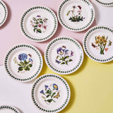 Portmeirion Botanic Garden Side Plate 16.5cm set featuring floral designs with butterflies and green leaf border, assorted botanical patterns