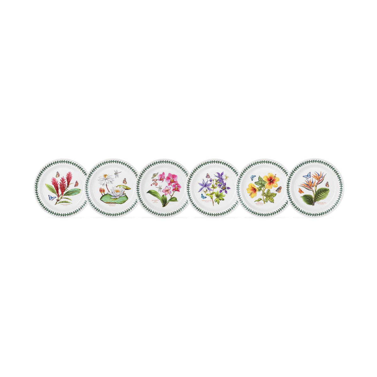 Portmeirion Exotic Botanic Garden Entrée Plate Assorted 21.5cm | Minimax