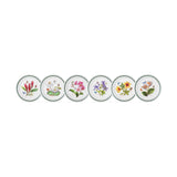 Portmeirion Exotic Botanic Garden Entrée Plate Assorted 21.5cm | Minimax