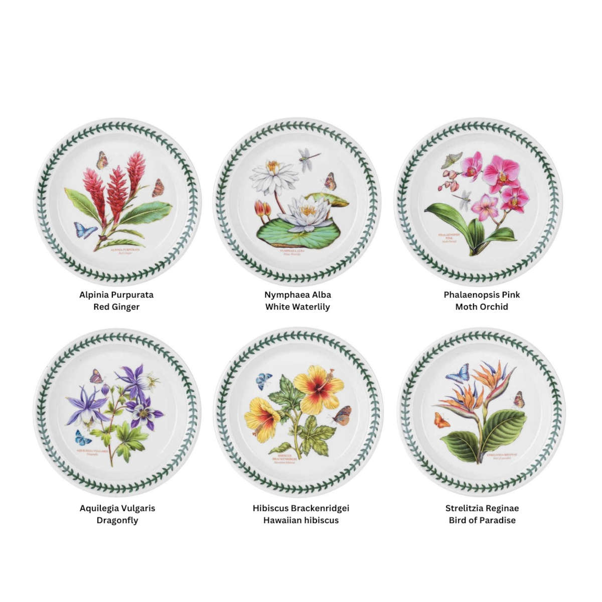 Portmeirion Exotic Botanic Garden Entrée Plate Assorted 21.5cm | Minimax