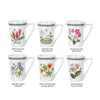 Portmeirion Exotic Botanic Garden Mandarin Mug Assorted 280ml | Minimax