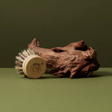 Koala Eco Dish Brush Refill | Minimax
