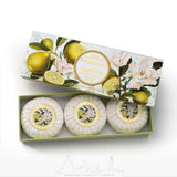 Saponificio Artigianale Fiorentino Round Soap 100g (Set of 3) | Minimax