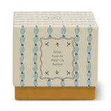 Paddywax Tulip Wisteria & Willow Glass Candle 155g | Minimax