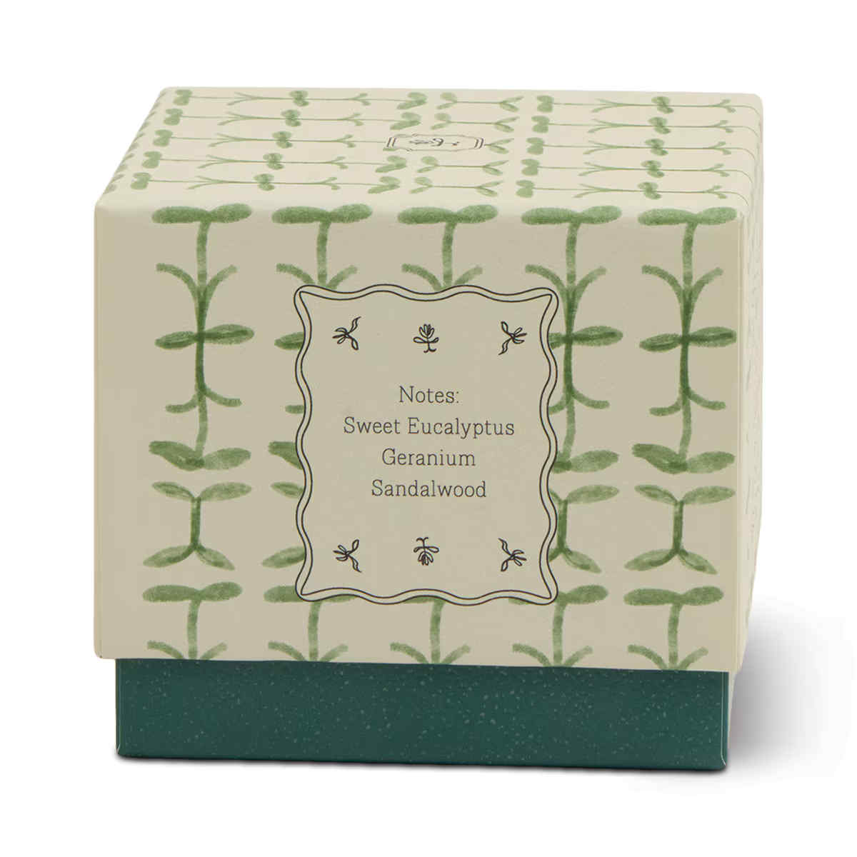 Paddywax Tulip Verbana & Lemongrass Glass Candle 155g | Minimax
