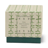 Paddywax Tulip Verbana & Lemongrass Glass Candle 155g | Minimax