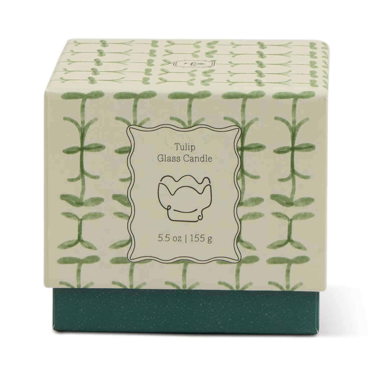 Paddywax Tulip Verbana & Lemongrass Glass Candle 155g | Minimax