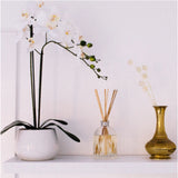 Peppermint Grove Australia Wild Jasmine & Mint Diffuser 200ml