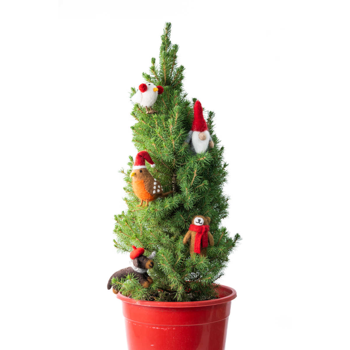 Charlie Chicken Felt Decor | Minimax