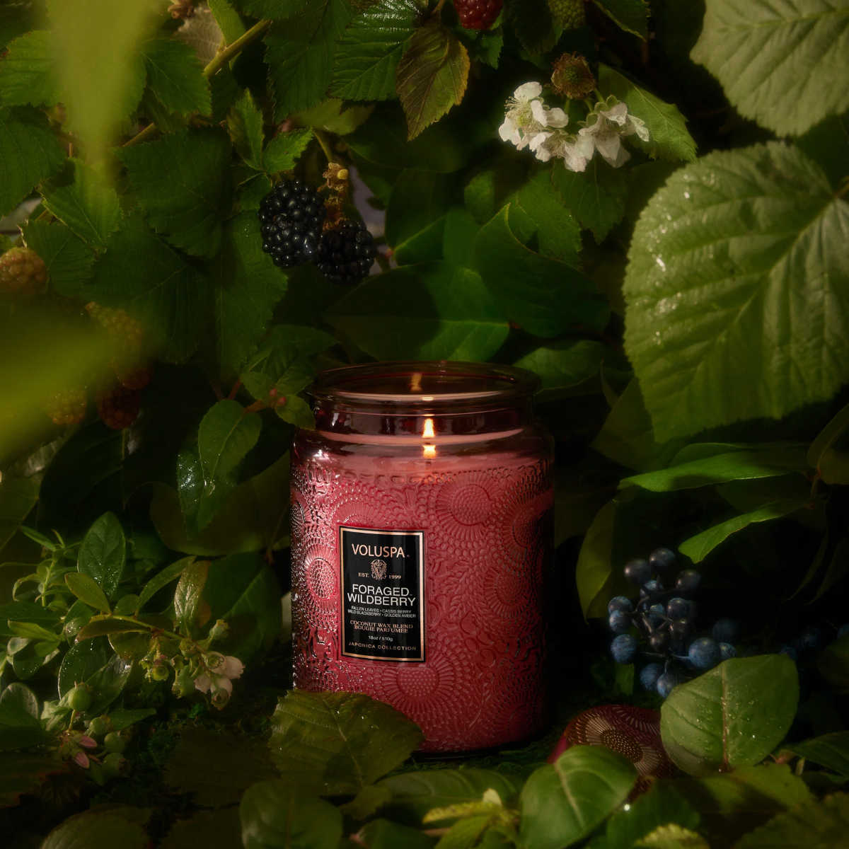 Voluspa Foraged Wildberry 100 Hour Candle | Minimax