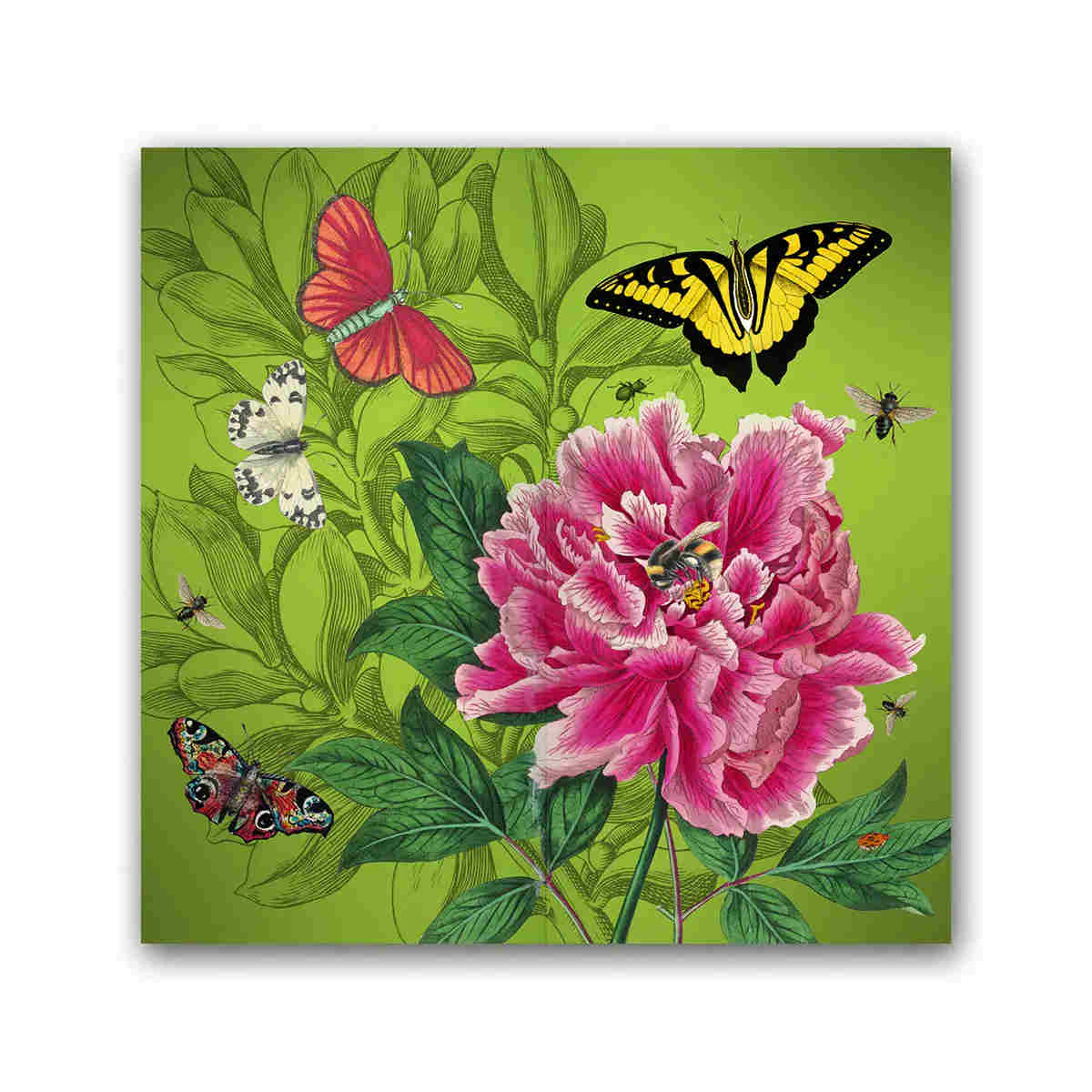 Royal Botanic Gardens 2027 Slim Pocket Diary 16x9cm | Minimax