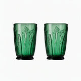 Casero Sardina Tumbler Green 350ml (Set of 2)