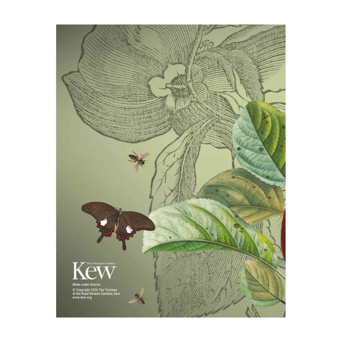 Royal Botanic Gardens Kew 2027 Deluxe Diary 23x17cm | Minimax