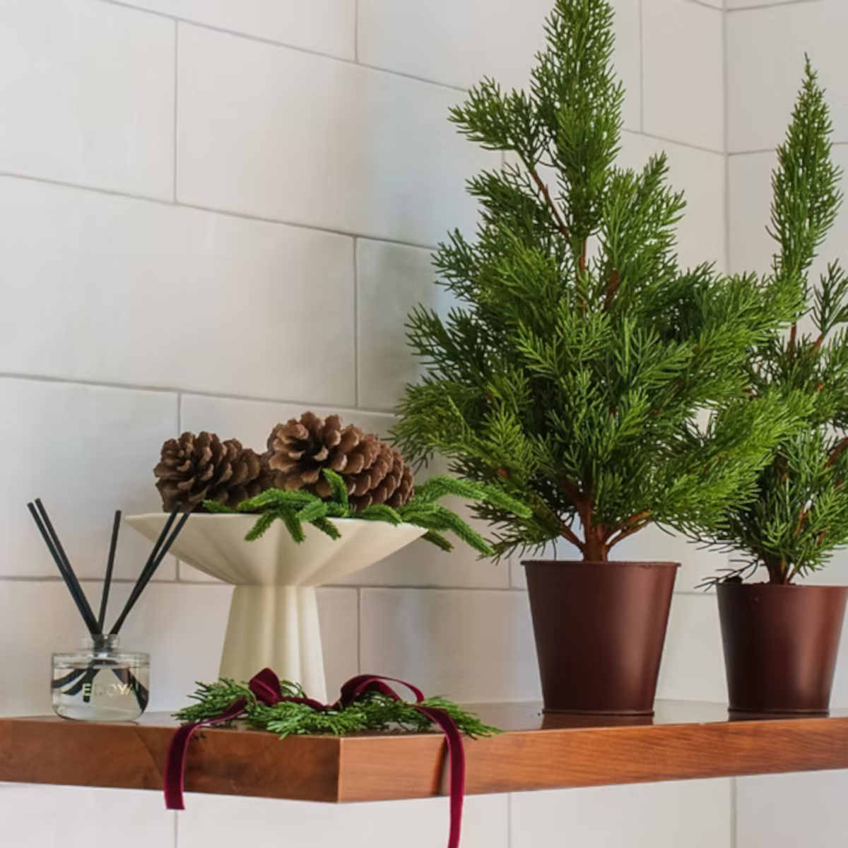 Ecoya Fresh Pine Mini Diffuser 50ml | Minimax