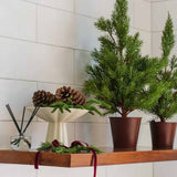 Ecoya Fresh Pine Mini Diffuser 50ml | Minimax