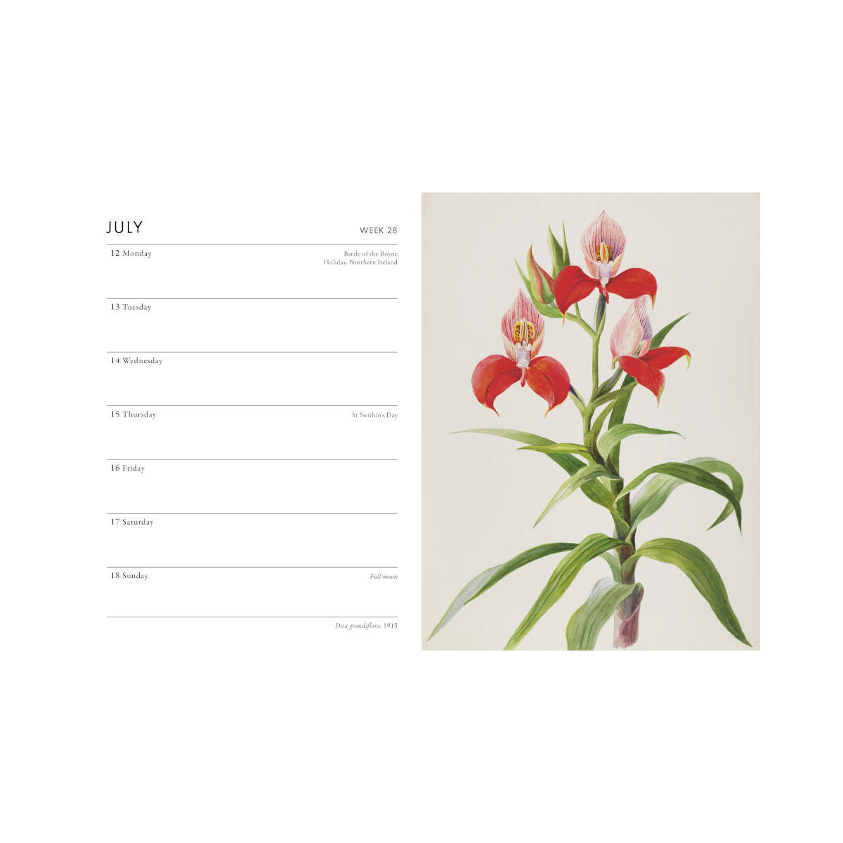 Royal Horticultural Society Desk Diary 2027 | Minimax