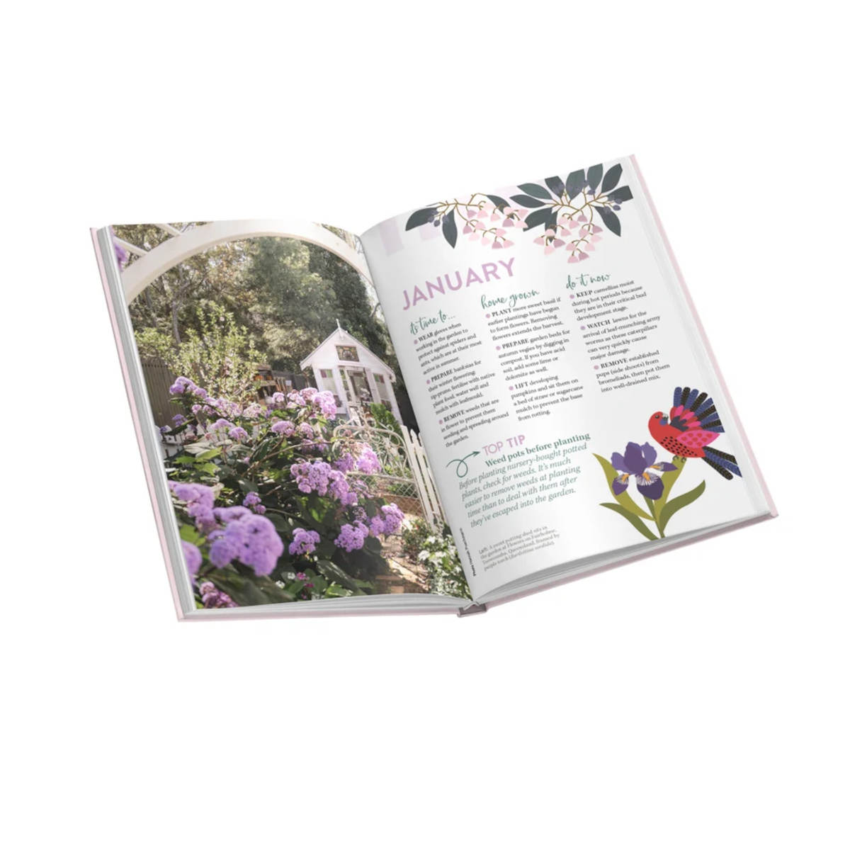 Australian Broadcasting Corporation 2027 Gardening Australia Diary | Minimax