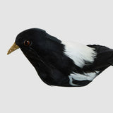 Vixen & Velvet Feather Magpie Hanging Decoration 15cm | Minimax