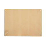 Wiltshire Reusable Non-Stick Baking Liner For Slice Pan 26X16cm