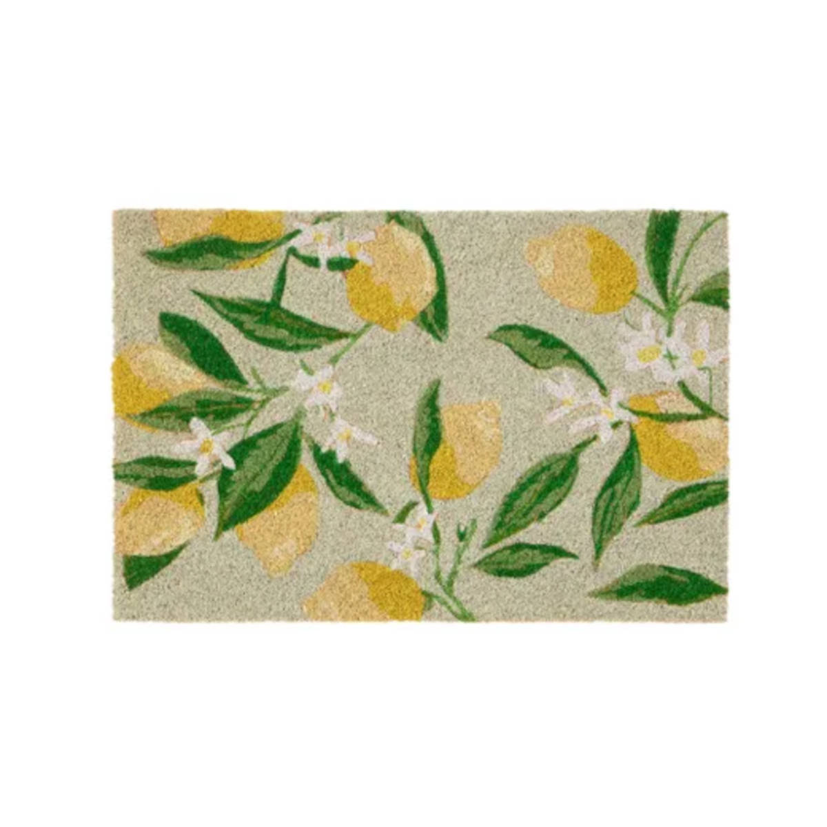 Coast to Coast Limone PVC Backed Coir Doormat Green 40 x 60cm | Minimax