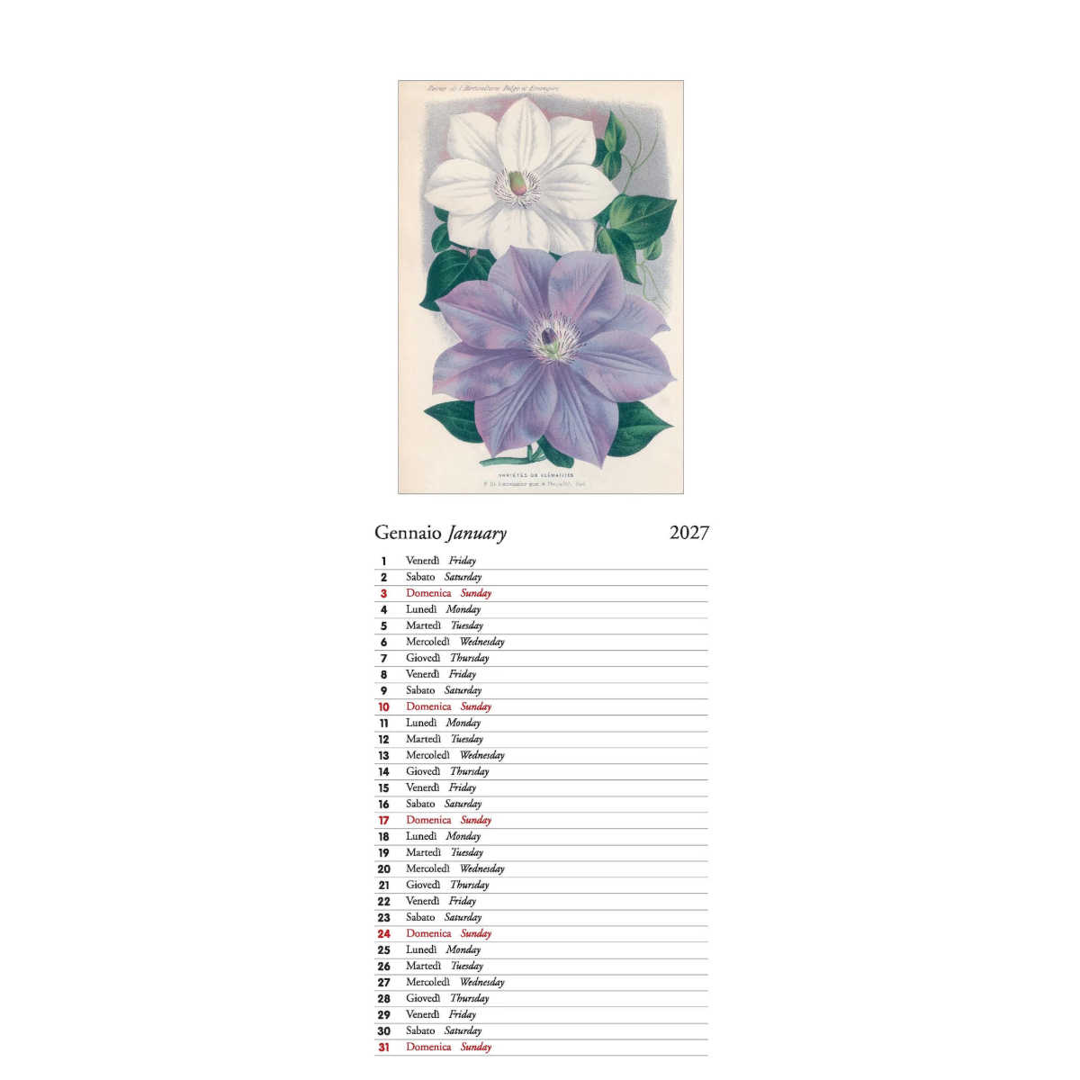 The Paperie Botanica 2027 Slim Wall Calendar | Minimax