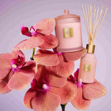 Glass House Fragrances Radiance Bloom Diffuser 250ml | Minimax