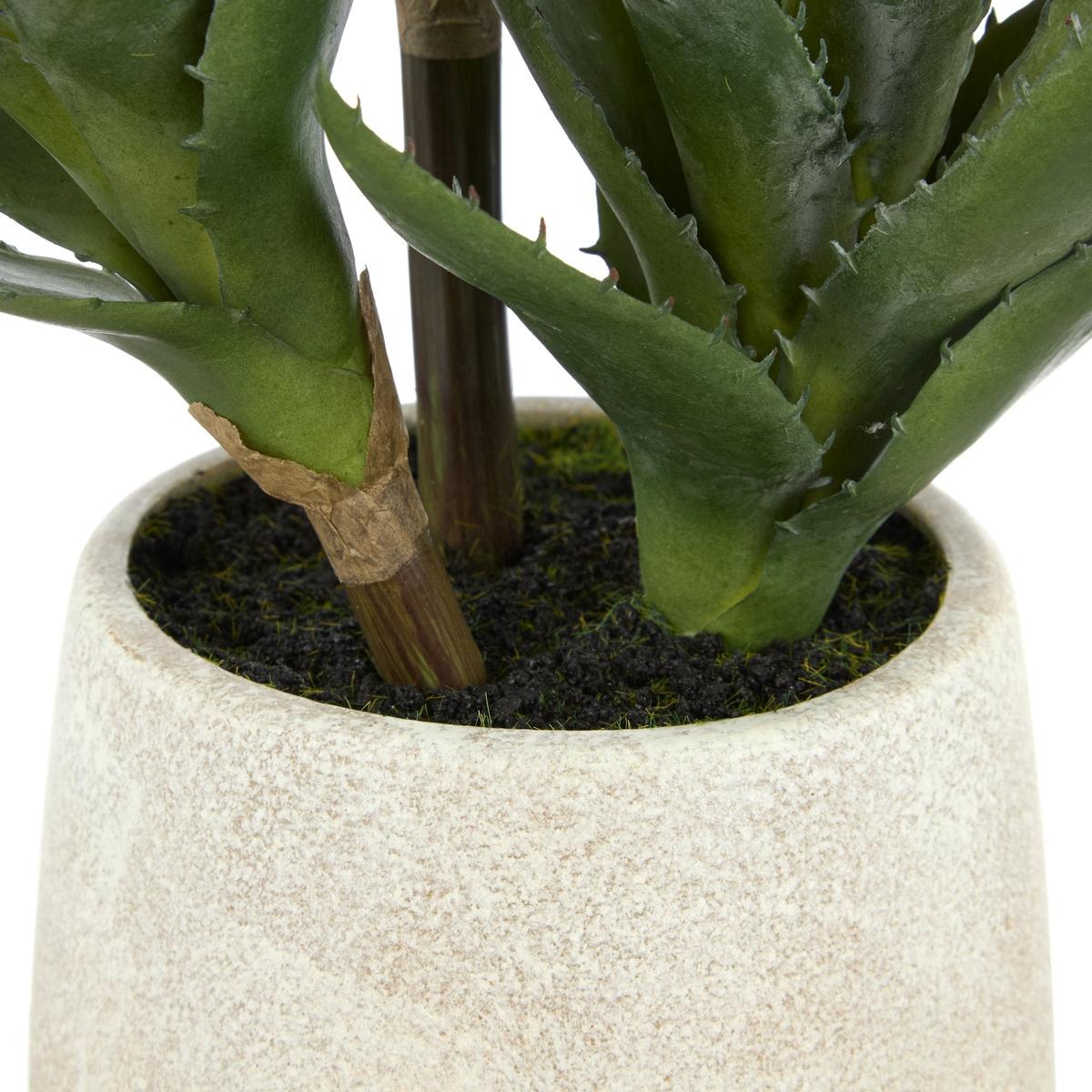 Rogue Aloe 3 Heads Pot Green 23x23x33cm