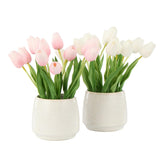 Rogue Tulip Bunch-Gianni Pot Pink 32x27x26cm