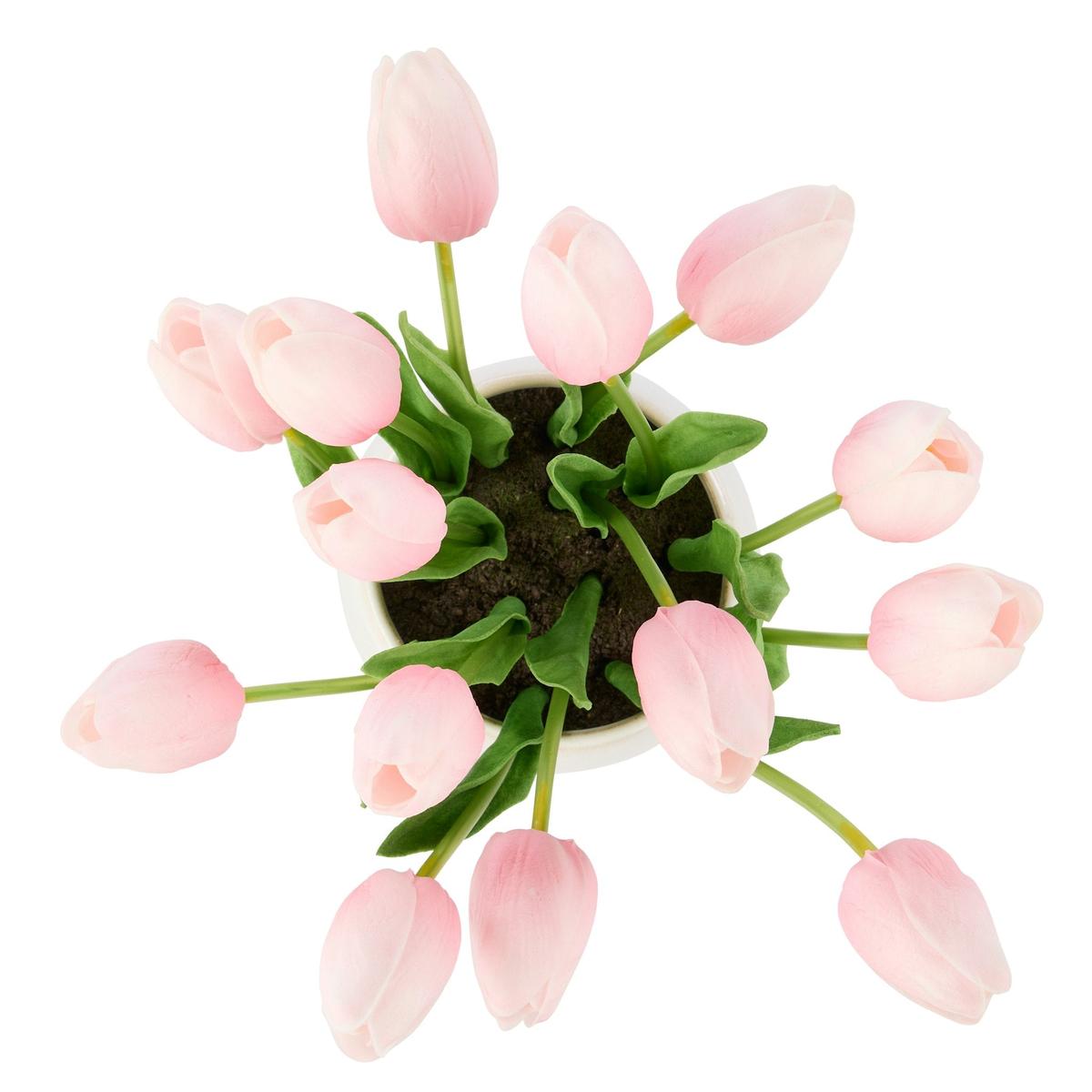 Rogue Tulip Bunch-Gianni Pot Pink 32x27x26cm