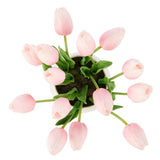 Rogue Tulip Bunch-Gianni Pot Pink 32x27x26cm