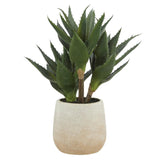 Rogue Aloe 3 Heads Pot Green 23x23x33cm