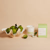 Palm Beach Collection Jasmin & Lime Candle 420g | Minimax