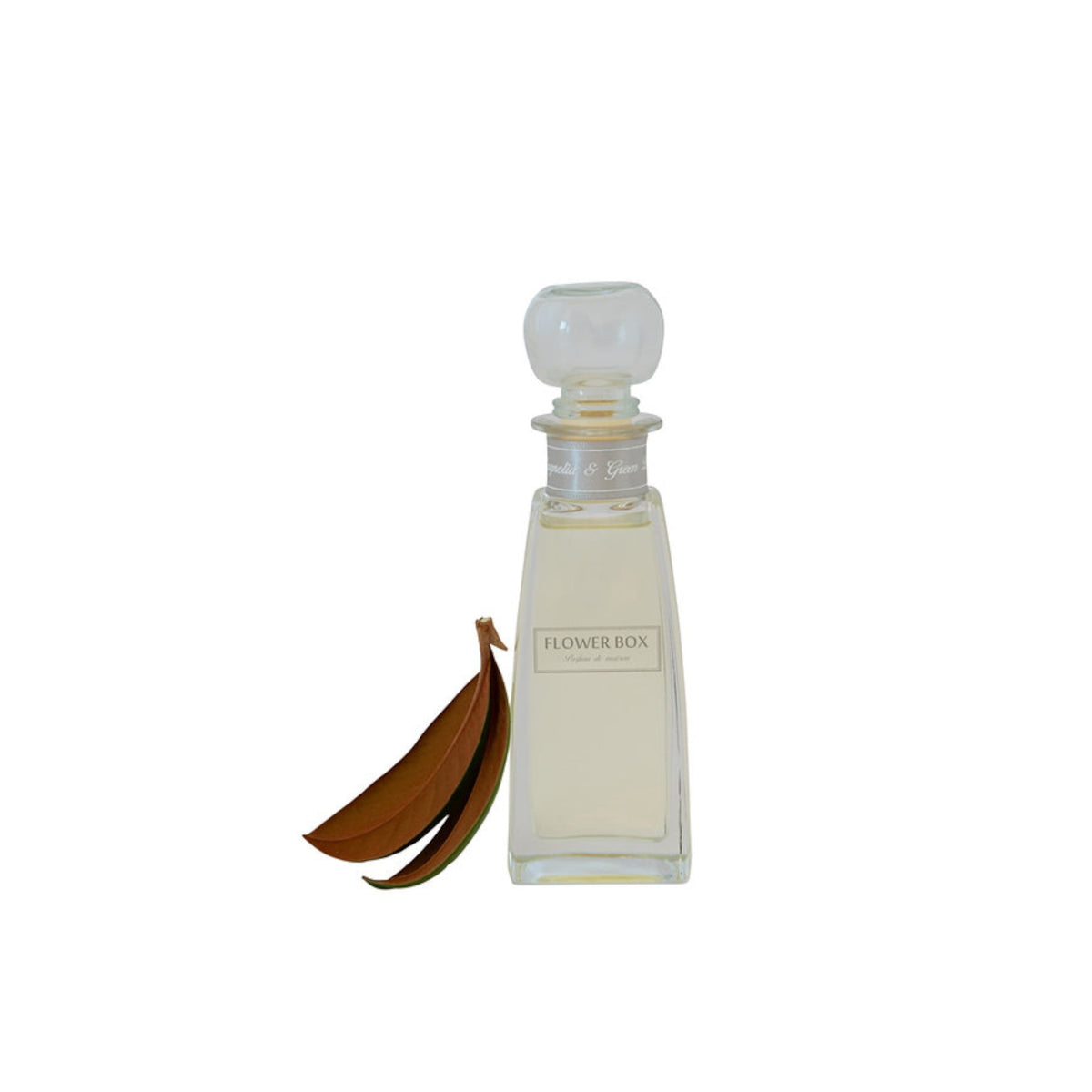 Flower Box Mini Diffuser Magnolia Green Leaves 100ml | Minimax