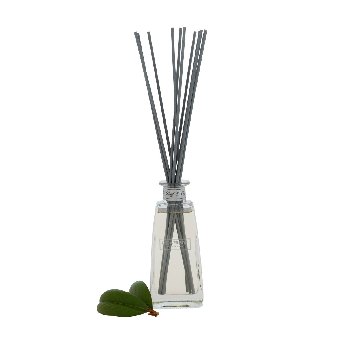 Flower Box Standard Diffuser Fig Leaf & Cedar 210ml | Minimax