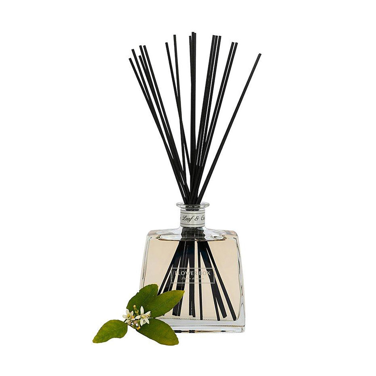 Flower Box Fig Leaf & Cedar Diffuser 700ml | Minimax