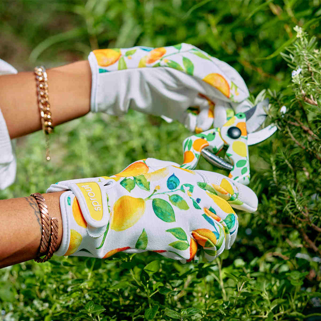 Annabel Trends Citrus Sprout Gloves | Minimax